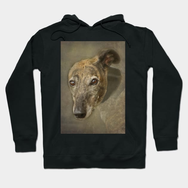 Greyhound Portrait Hoodie by Furtographic